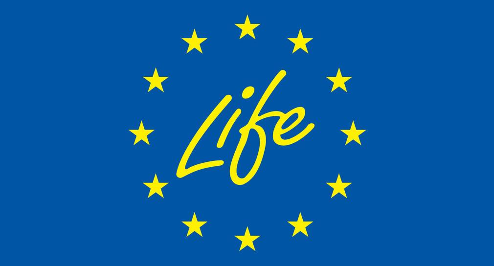 Logo mit der Aufschrift Life